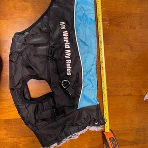 Insulated dog jacket with harness